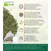FRISAFRAN - Pennyroyal Infusion Menta Ecological in Pyramids | Digestive