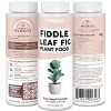 TPS NUTRIENTS Fiddle Leaf Fig Plant Food for All and