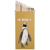 Azeeda 12 x 'Penguin' Long 178mm Coloured Pencils/Pencil Set (PE00026534)