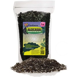 Elevate Your Alocasia with Gardenera's Organic Soil Blend - Cultivate Healthier and More Elegant Leaves - 1 Quart