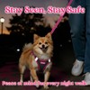 rabbitgoo Dog Harness Small Sized and Leash Set, Step-in Breathable