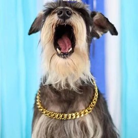 Gold Dog Collar Gold Chain Dog Training Collar 19MM with Buckle 18K Cuban Link Dog Collar for Small Medium Large Dogs (22")