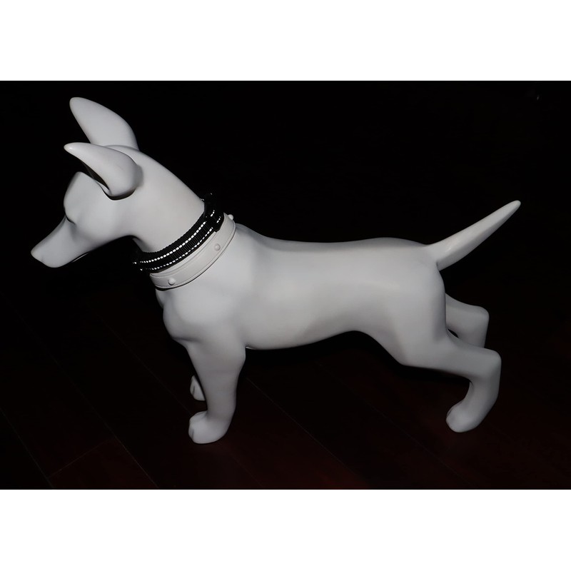 THAIN Dog Collar, Dog Collar, For Small, Medium, Large Dogs,