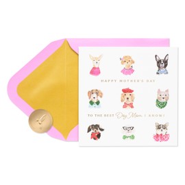 Papyrus Mother's Day Card for Dog Mom (Pawsitively Wonderful)