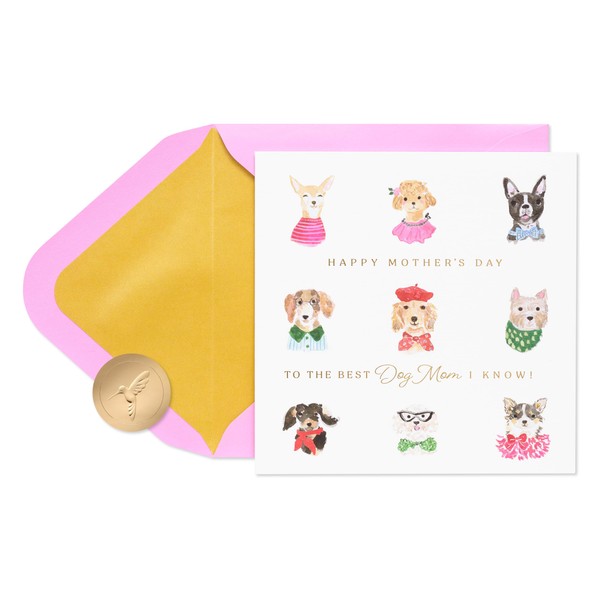 Papyrus Mother's Day Card for Dog Mom (Pawsitively Wonderful)