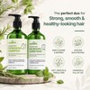 Herbishh Rosemary Mint Hair Shampoo and Conditioner 480ml each