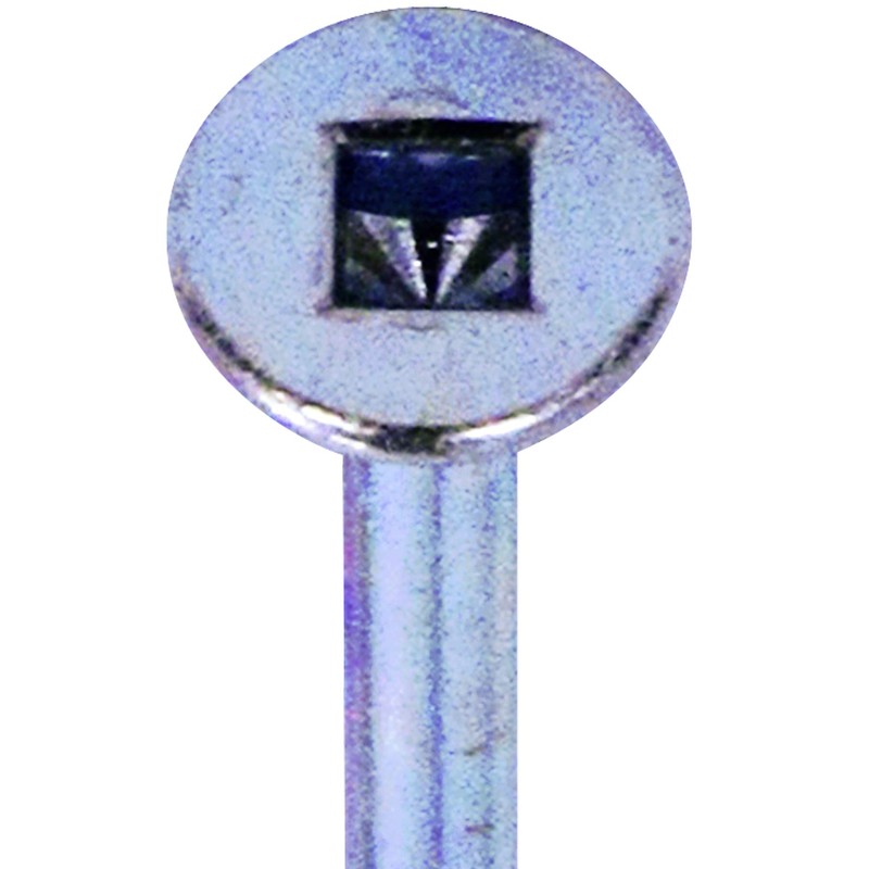 Daidohant 10176652 Square Hole Coarse Thread Screws, (Nominal Diameter D)