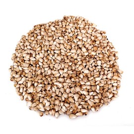 신선약초 국산 홍화씨 300g 잇꽃 잇나물 Fresh Herbal Korean Safflower Seeds 300g Rhamnus Jujube
