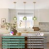 Shenmoyl Battery Operated Pendant Light 5000mAh Rechargeable Chandelier with Remote