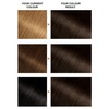 Garnier Belle Color Brown Hair Dye Permanent, Natural Looking Hair