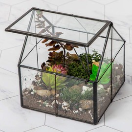 Ferrisland Glass Plant Terrarium Container Wardian Case Indoor Small Succulent Terrarium Planter w/Door for Tabletop Decor DIY - 4.9"x4.3"x4.3"
