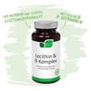 NICApur Lecithin & B Complex I to Support the Nervous
