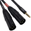 CESS-257 Black 4.4mm to Dual XLR Male Balanced Audio Headphone