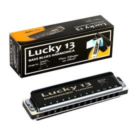 East top Lucky 13 Bass Plus Blues Harmonica 13 Holes Diatonic Harp Mouth Organ Professional Musical Instruments Diminished C Key harmonica for Adults