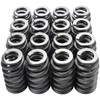 PAC-1218 16Pcs Drop-in Engine Valve Spring Kit, 1200 Series, Ovate