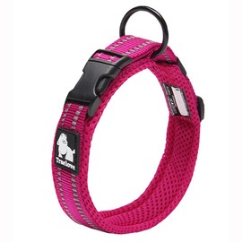 Truelove Dog Training Collar TLC5011 Reflective Premium Buckle Nylon Webbing Pet Dog Collars,High Grade Nylon Webbing No Choke Basic Collars Now Available (XS, Fushcia)