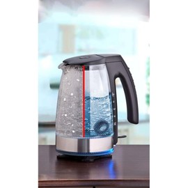 WENKO Kalkfänger Hexi - Kalklöser für Wasserkocher und Wasserkessel, Edelstahl rostfrei, 4 x 2 x 4 cm, Silber