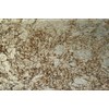 Heirloom Gold - Galaxy Series 3 x 6 Light Gold