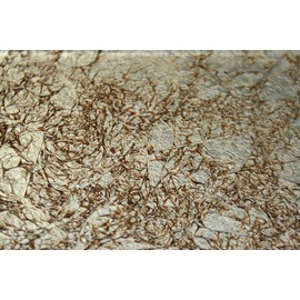 Heirloom Gold - Galaxy Series 3 x 6 Light Gold Color Glass Tile
