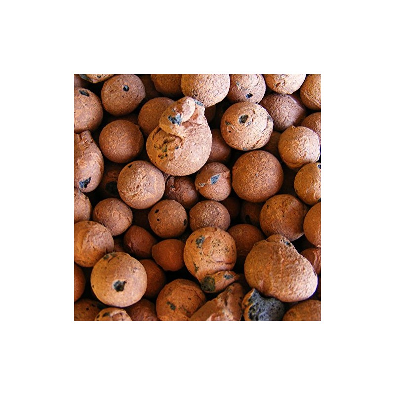Hydro Clay Pebbles (Leca) Orchid/Hydroponic Grow Media - 10 lbs.