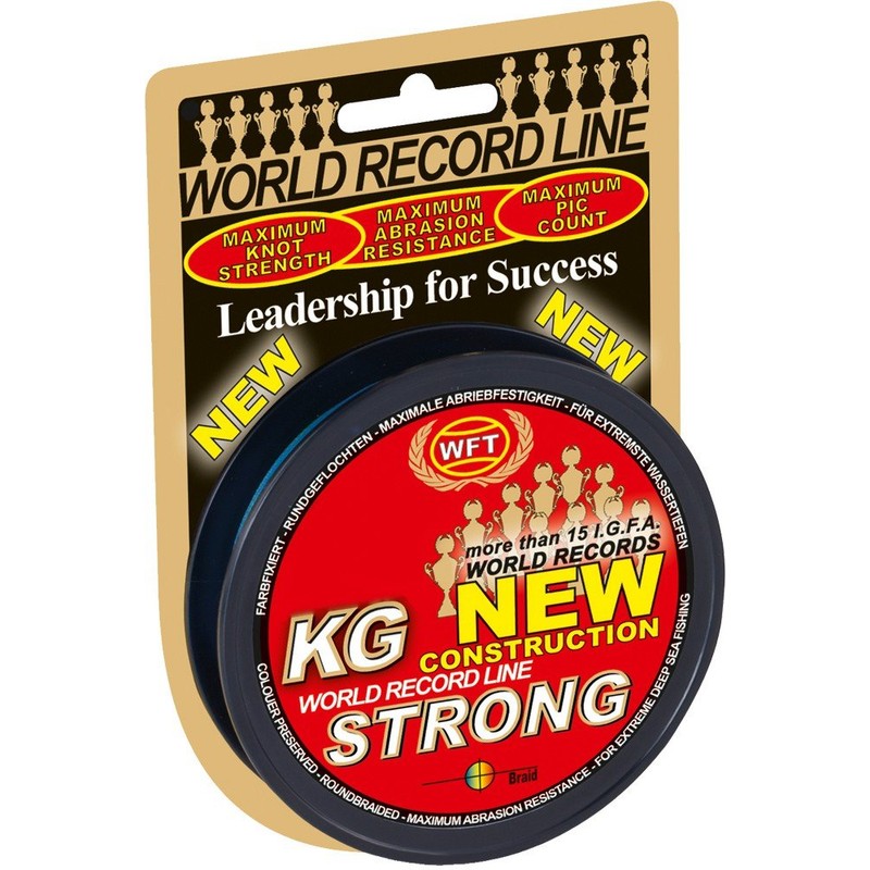 WFT KG Strong 300 m 0.25 mm 39 kg, Braided