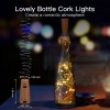 Brightown 10 Pack Wine Bottle Fairy Lights Warm White LED