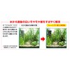 e-haimu in1 (fo-inwan) 500ml For Discount Set of 2 