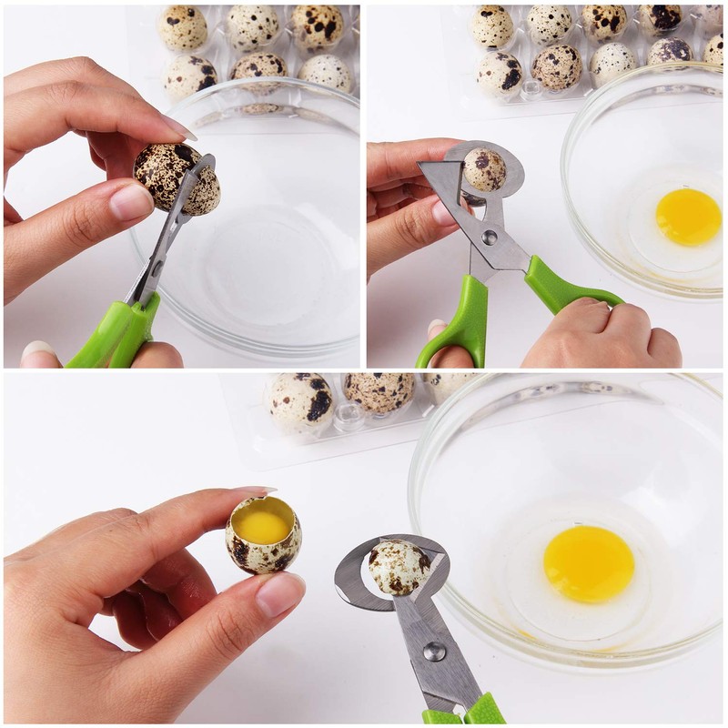 6Pcs Quail Egg Cutter Scissors Kitchen Egg Shears Tool (Green)