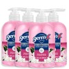 Germ-X Antibacterial Hand Soap, 12 Oz (Pack 4), Moisturizing Liquid