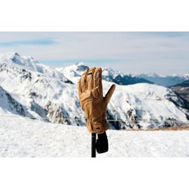 SEALSKINZ | Twyford | Fusion Control Unisex Waterproof Cold Weather Goatskin Leather Work & Everyday Winter Glove | Merino Wool Lined | Three-Layer Insulation Technology