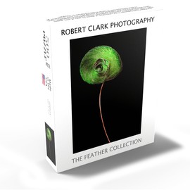 MyPuzzle King Bird-of-Paradise - Premium 500 Piece Jigsaw Puzzle for Adults