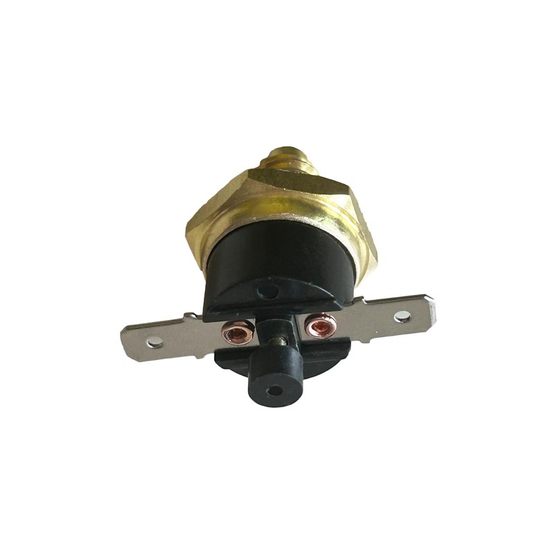 Resettible Thermal Cutter Travel Switch for Spa Lay Z E08,