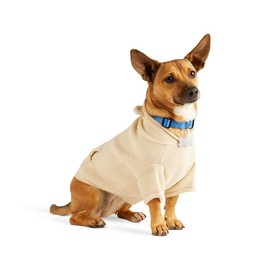 Youly Teddy Sweater for Dogs, X-Small, Brown