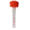 Floating Water Thermometer to Easily Read Water Temperature - Great