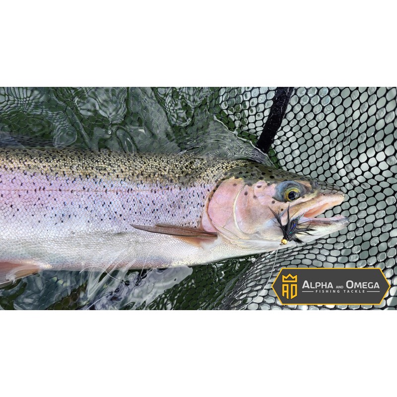 ALPHA and OMEGA - Woolly Bugger Fly KIT (20 Flies)