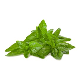 Basil, Genovese Herb Seeds - Non-GMO - 0.5 Grams, Approximately 300 Seeds
