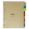 Carstens Heavy Duty Plastic Monthly Divider Set, 12-Tab, Multi-Color, for