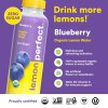 Lemon Perfect Blueberry, Hydrating Flavored Lemon Water, Zero Sugar, Healthy
