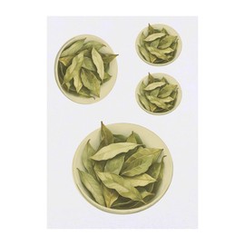4 x 'Bowl of Bay Leaves' Temporary Tattoos - Water Resistant, Skin-Safe, Non-Toxic Transfers, Mixed Sizes (TO00084018)