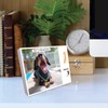 Willow Creek Press Crusoe the Dog 2025 Desk Calendar Daily