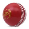 ADS SPORTS Wind Cricket Balls - Air Hollow Practice Balls