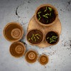 HappySeed 10 x Coconut Propagation Pots & Swelling Tablets Peat-Free