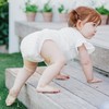 Terra Size 2 Diapers: 85% Plant-Based Diapers, Ultra-Soft & Chemical-Free