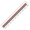EAI Education The Master® Fraction Ruler