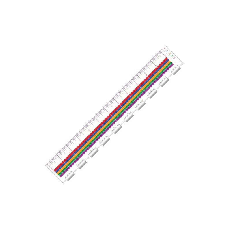 EAI Education The Master® Fraction Ruler