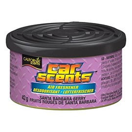 California Scents Santa Barbara Cars Cents – Berry