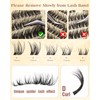 Spider Lash Clusters Wispy Eyelash Clusters Natural Breeze Lashes Cluster