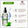 Passion Indulge Cucumber Water Skin Toner For Face - 100