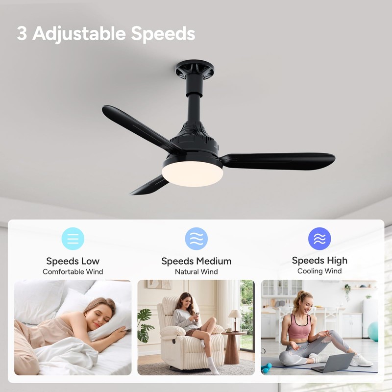 Faryuan 28" Small Ceiling Fans with Lights and Remote, Black