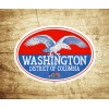 Washington DC Vintage Travel Sticker Decal 3.75" Liberty Flag Eagle